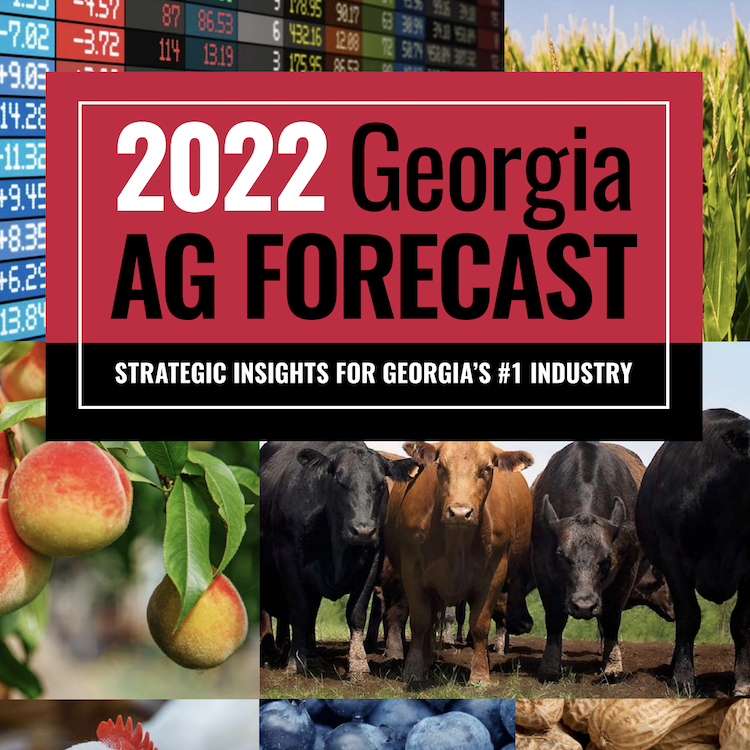 AG Forecast: Input costs expected to level out in 2022